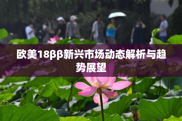 欧美18ββ新兴市场动态解析与趋势展望