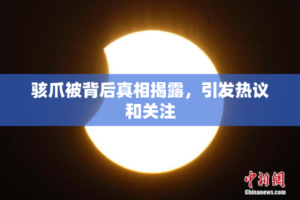 骇爪被背后真相揭露，引发热议和关注