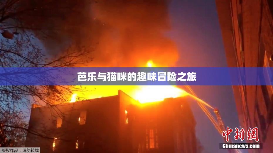 芭乐与猫咪的趣味冒险之旅