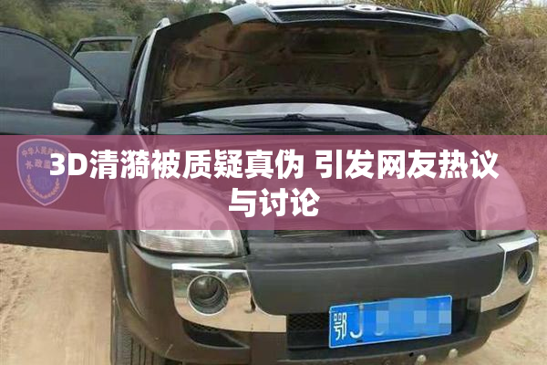 3D清漪被质疑真伪 引发网友热议与讨论