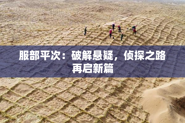 服部平次：破解悬疑，侦探之路再启新篇