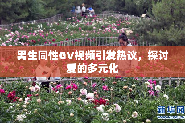 男生同性GV视频引发热议，探讨爱的多元化