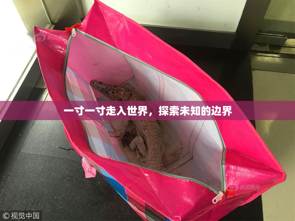 一寸一寸走入世界，探索未知的边界