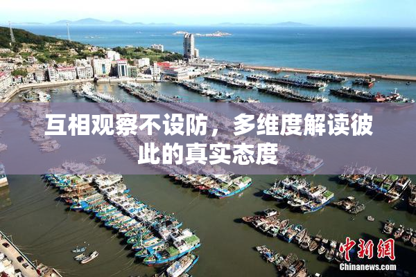 互相观察不设防，多维度解读彼此的真实态度