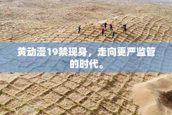 黄动漫19禁现身，走向更严监管的时代。