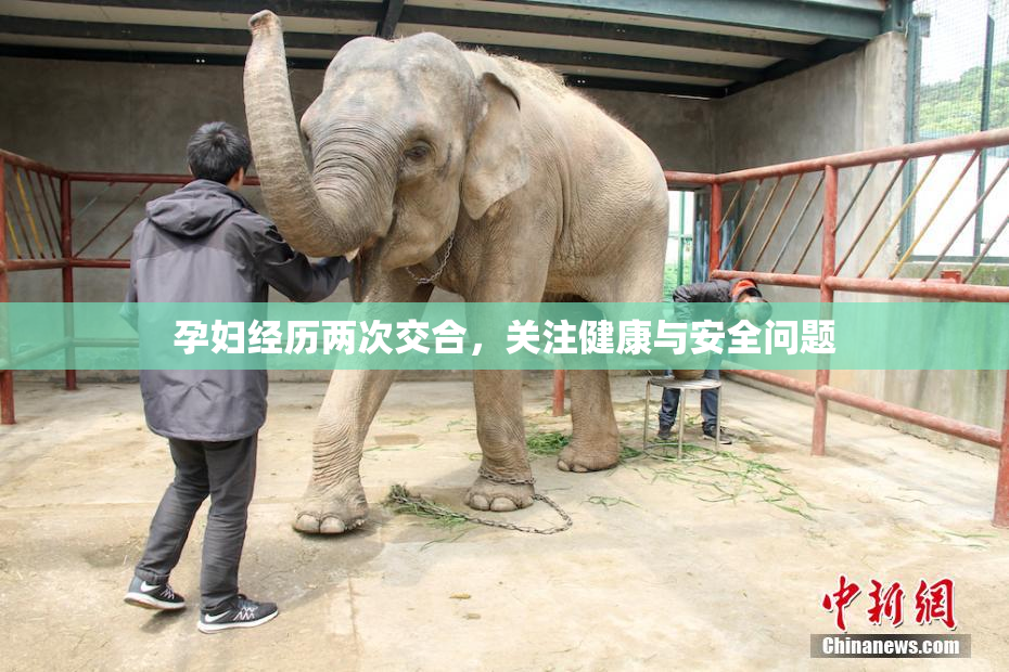 孕妇经历两次交合，关注健康与安全问题