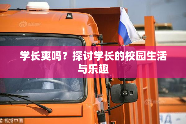学长爽吗？探讨学长的校园生活与乐趣