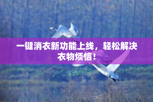 一键消衣新功能上线，轻松解决衣物烦恼！