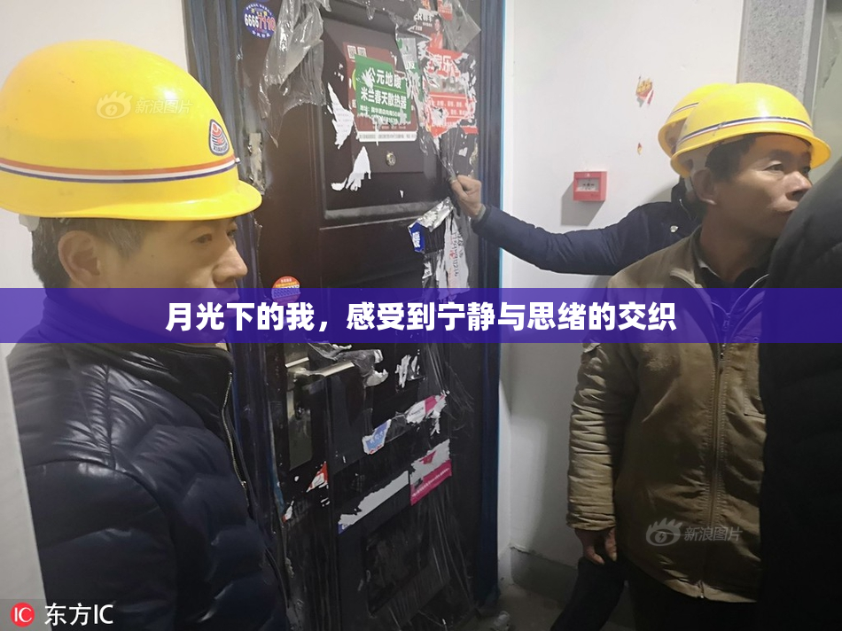 月光下的我，感受到宁静与思绪的交织