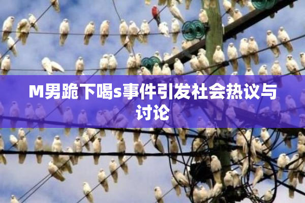 M男跪下喝s事件引发社会热议与讨论