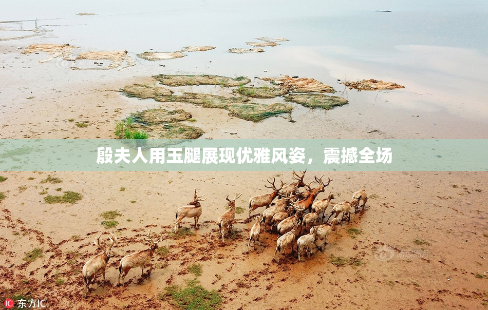 殷夫人用玉腿展现优雅风姿，震撼全场