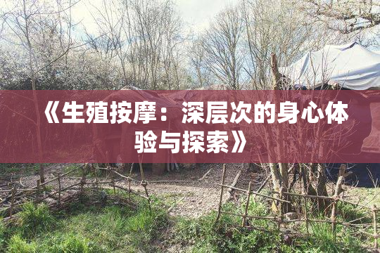 《生殖按摩：深层次的身心体验与探索》