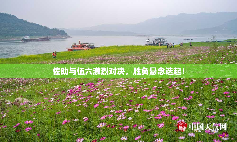 佐助与伍六激烈对决，胜负悬念迭起！