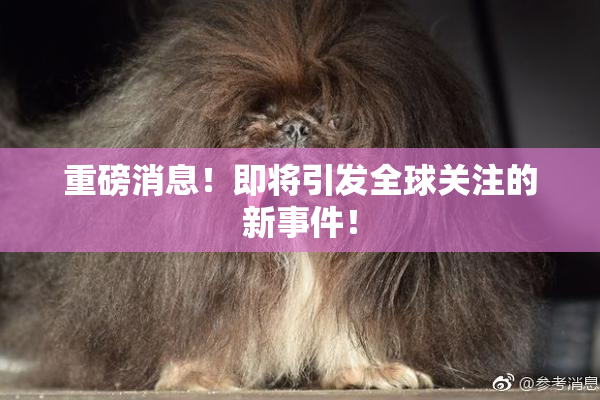 重磅消息！即将引发全球关注的新事件！