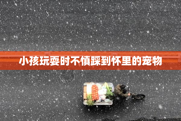 小孩玩耍时不慎踩到怀里的宠物