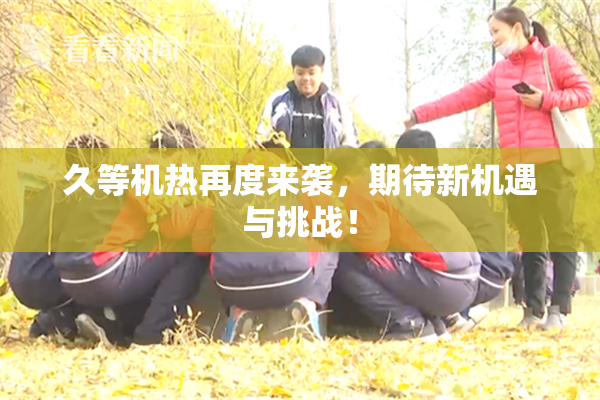 久等机热再度来袭，期待新机遇与挑战！