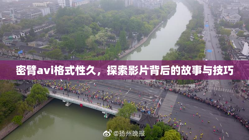 密臂avi格式性久，探索影片背后的故事与技巧