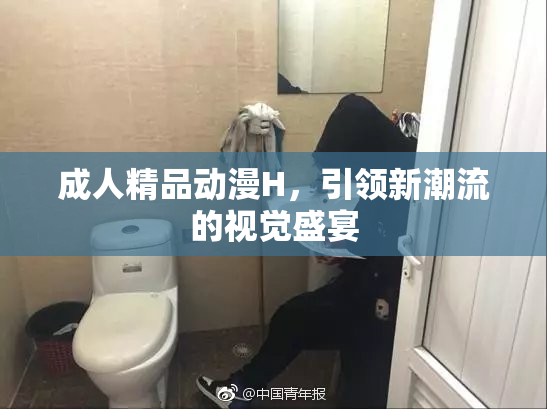 成人精品动漫H，引领新潮流的视觉盛宴