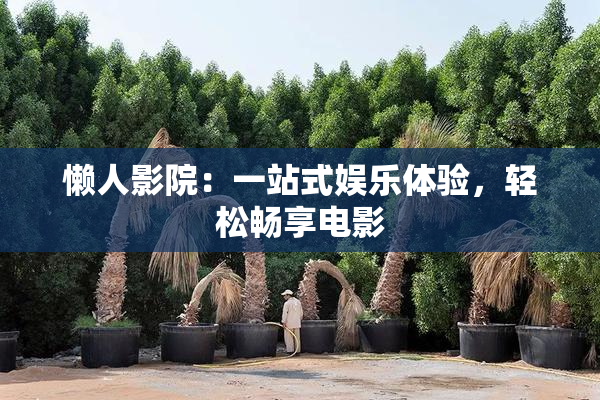 懒人影院：一站式娱乐体验，轻松畅享电影