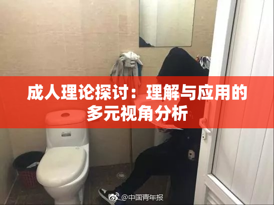 成人理论探讨：理解与应用的多元视角分析