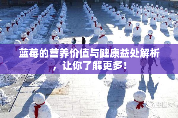 蓝莓的营养价值与健康益处解析，让你了解更多！