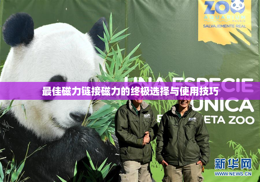 最佳磁力链接磁力的终极选择与使用技巧