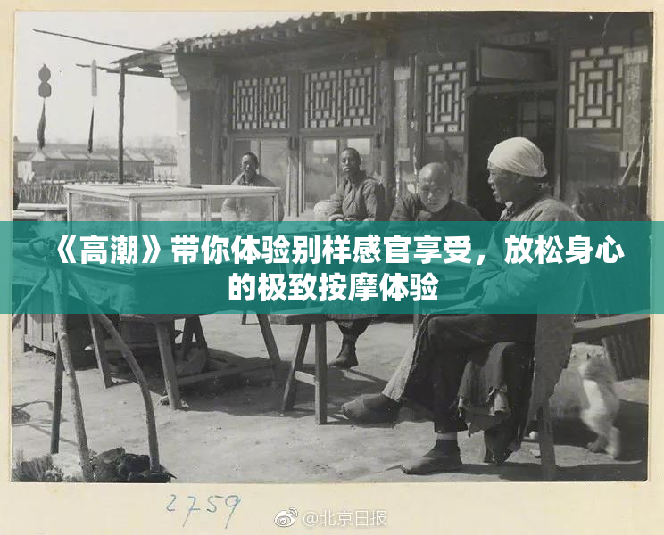 《高潮》带你体验别样感官享受，放松身心的极致按摩体验