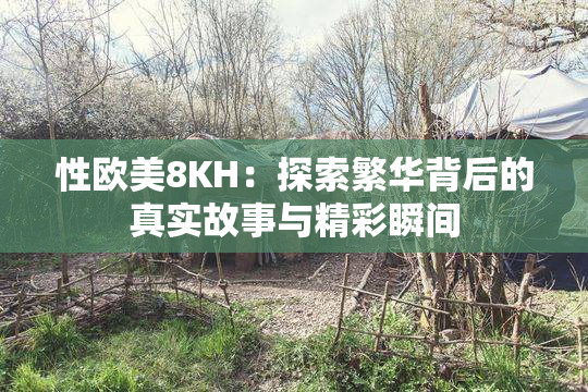 性欧美8KH：探索繁华背后的真实故事与精彩瞬间