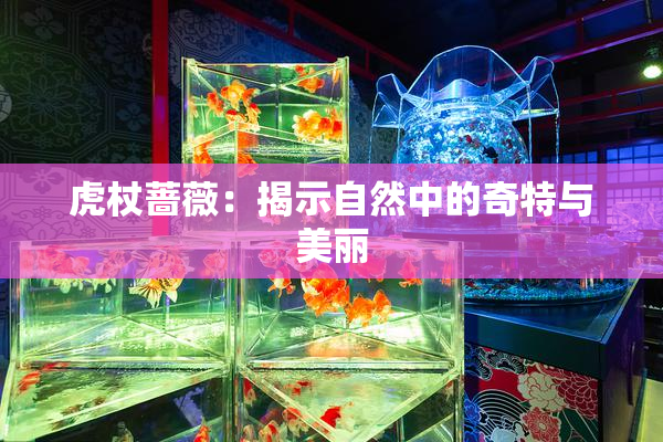 虎杖蔷薇：揭示自然中的奇特与美丽