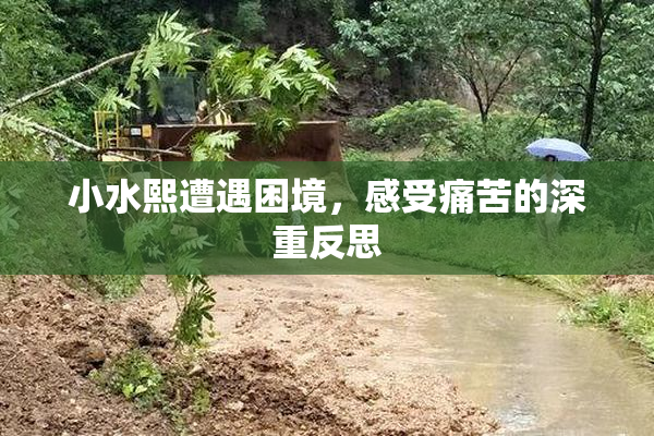 小水熙遭遇困境，感受痛苦的深重反思