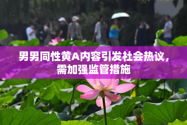 男男同性黄A内容引发社会热议，需加强监管措施