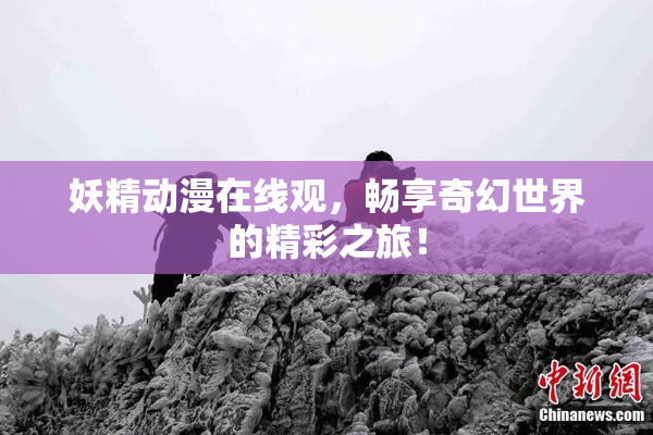 妖精动漫在线观，畅享奇幻世界的精彩之旅！