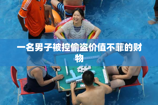 一名男子被控偷盗价值不菲的财物