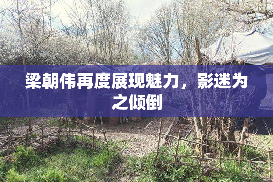 梁朝伟再度展现魅力，影迷为之倾倒