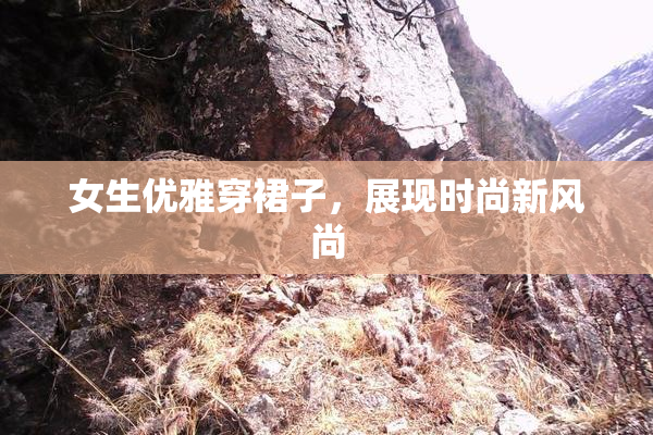 女生优雅穿裙子，展现时尚新风尚