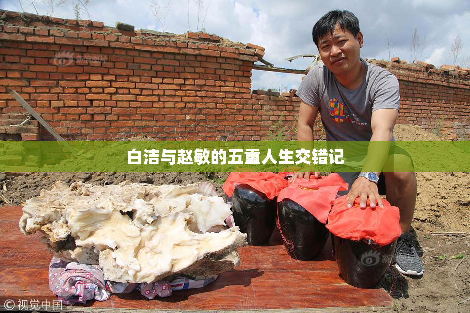 白洁与赵敏的五重人生交错记