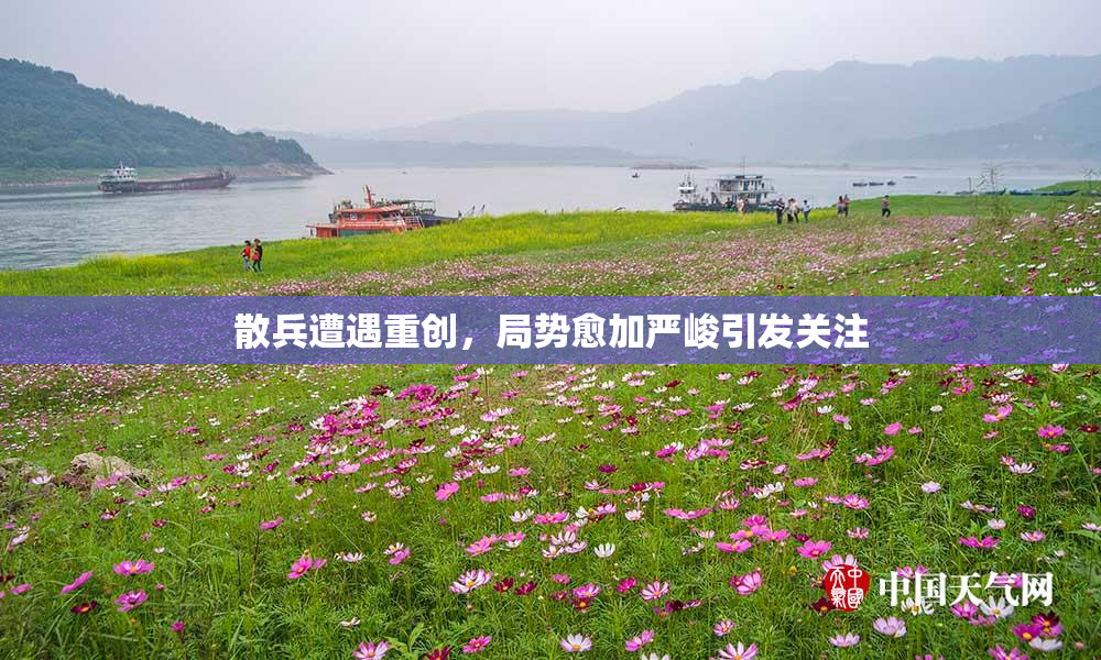 散兵遭遇重创，局势愈加严峻引发关注
