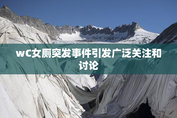 wC女厕突发事件引发广泛关注和讨论