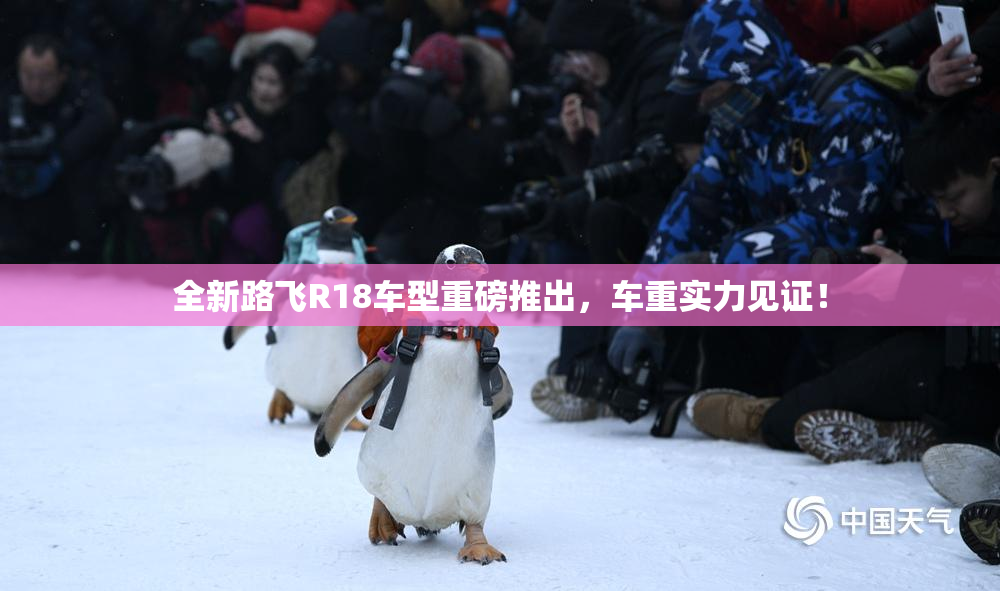 全新路飞R18车型重磅推出，车重实力见证！