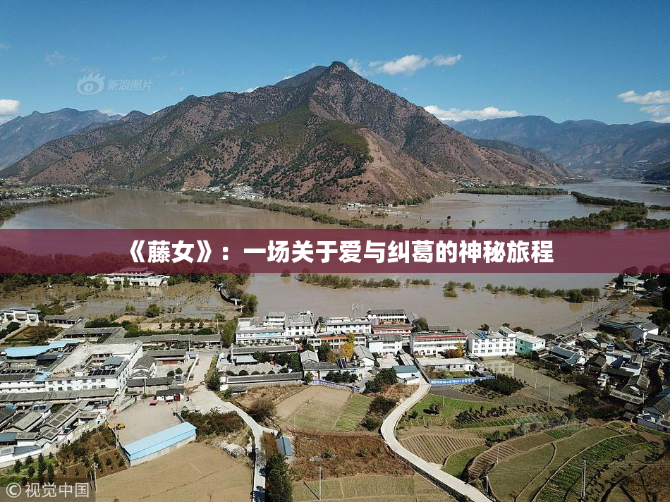 《藤女》：一场关于爱与纠葛的神秘旅程