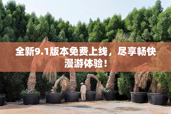 全新9.1版本免费上线，尽享畅快漫游体验！