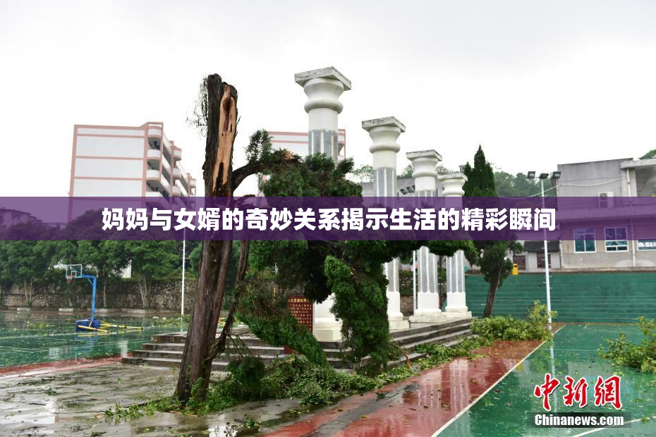 妈妈与女婿的奇妙关系揭示生活的精彩瞬间