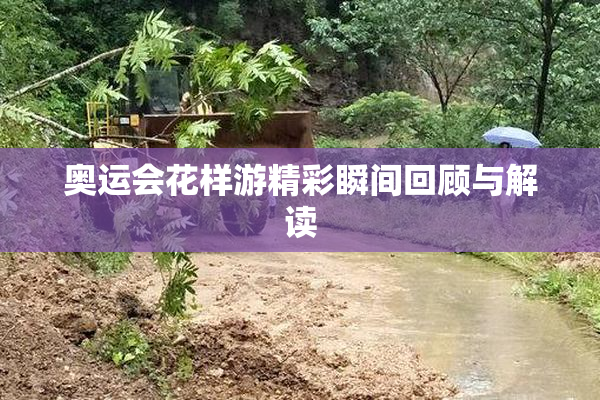 奥运会花样游精彩瞬间回顾与解读