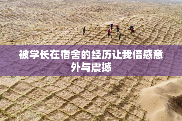 被学长在宿舍的经历让我倍感意外与震撼
