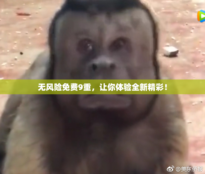 无风险免费9重，让你体验全新精彩！