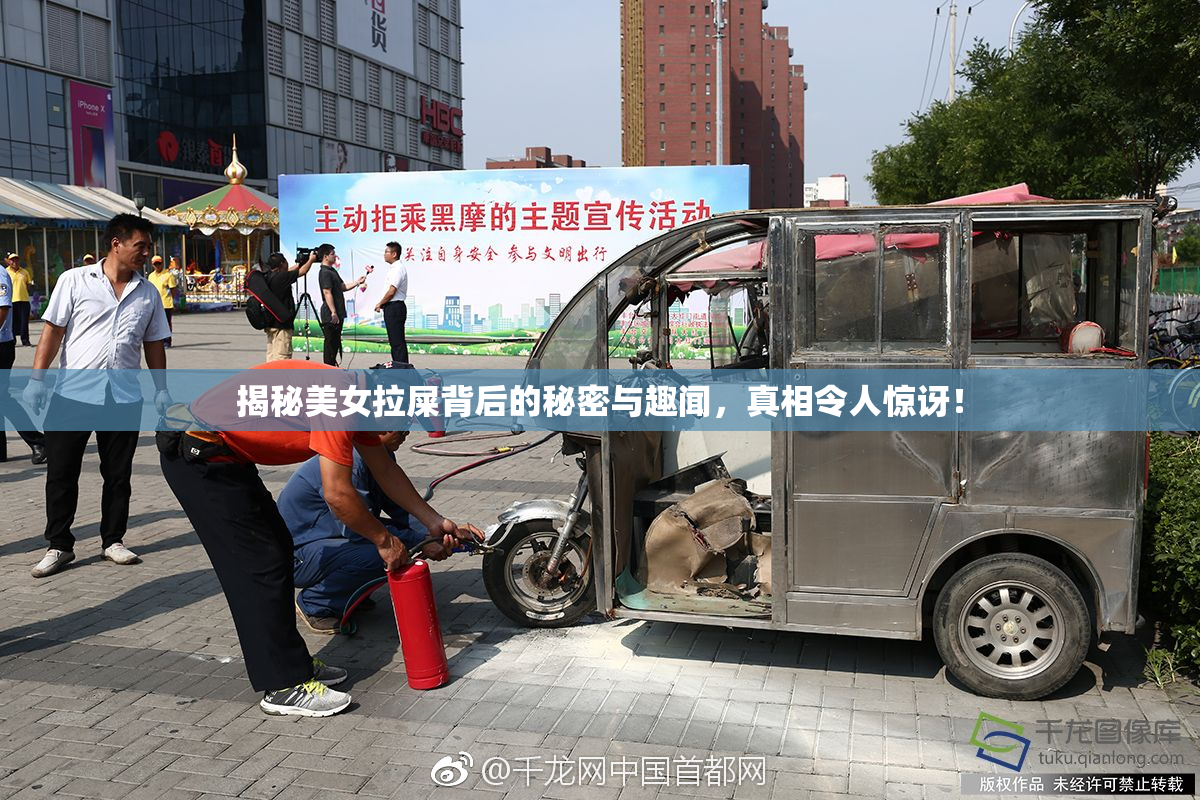 揭秘美女拉屎背后的秘密与趣闻，真相令人惊讶！
