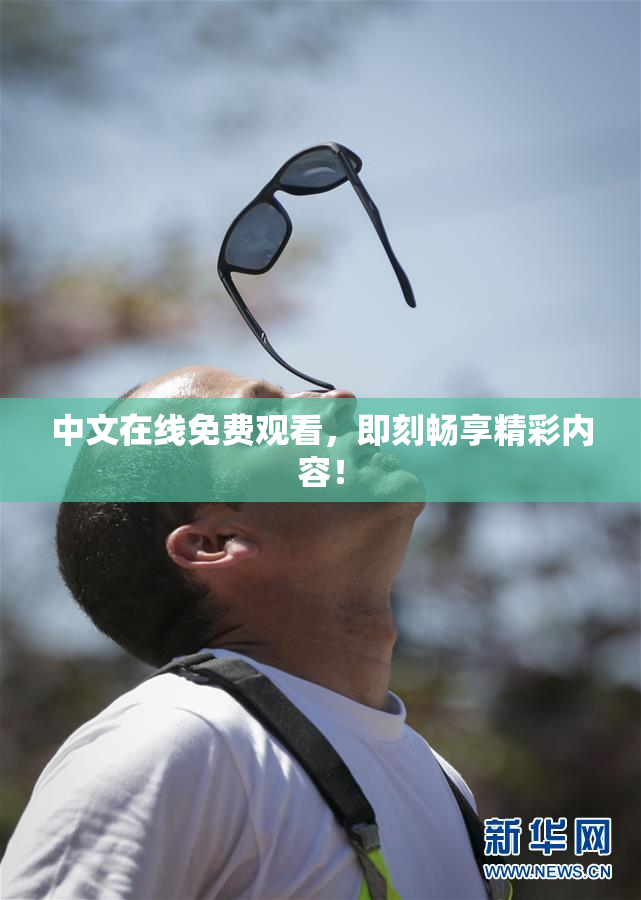 中文在线免费观看，即刻畅享精彩内容！