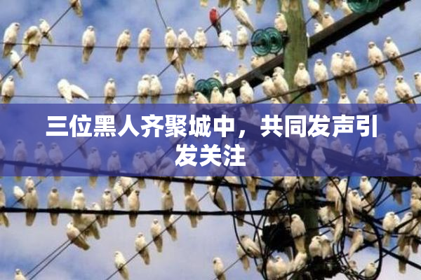 三位黑人齐聚城中，共同发声引发关注