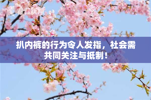 扒内裤的行为令人发指，社会需共同关注与抵制！