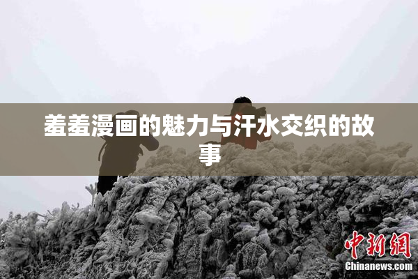 羞羞漫画的魅力与汗水交织的故事